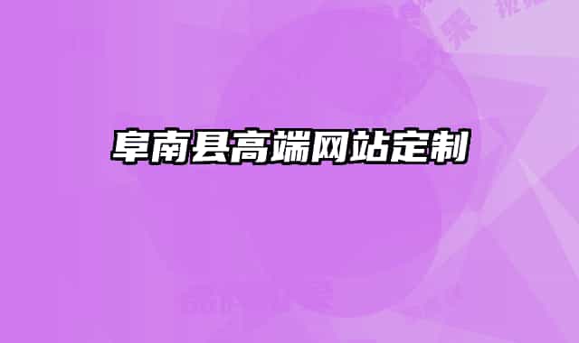 阜南县高端网站定制