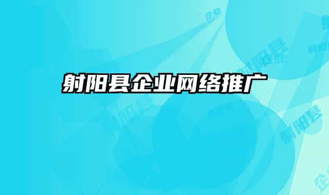 射阳县企业网络推广