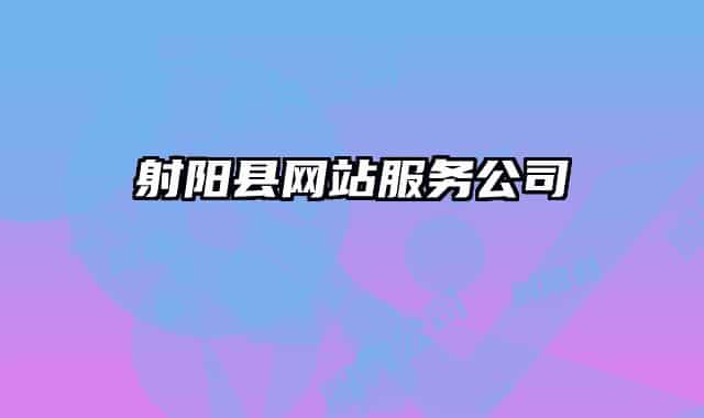 射阳县网站服务公司
