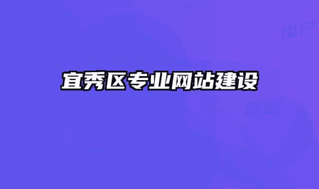 宜秀区专业网站建设