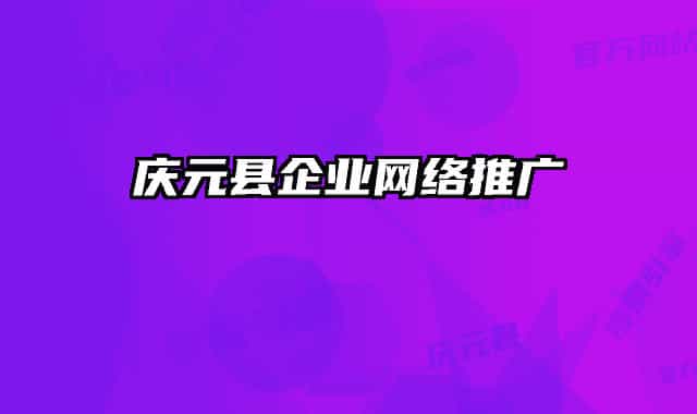 庆元县企业网络推广