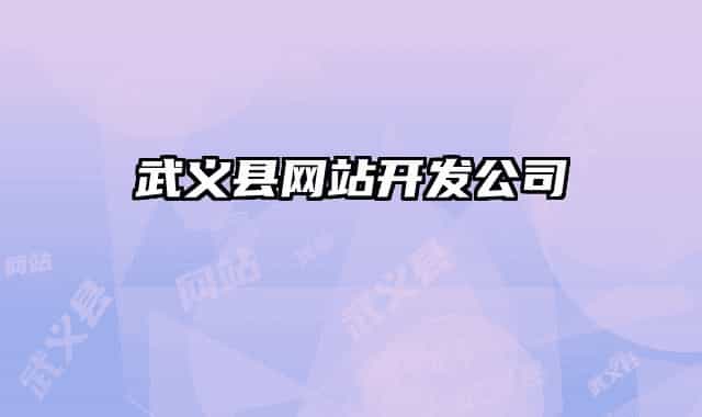 武义县网站开发公司