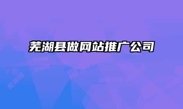 芜湖县做网站推广公司