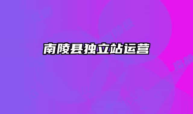 南陵县独立站运营