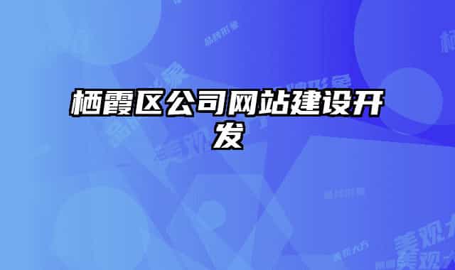 栖霞区公司网站建设开发