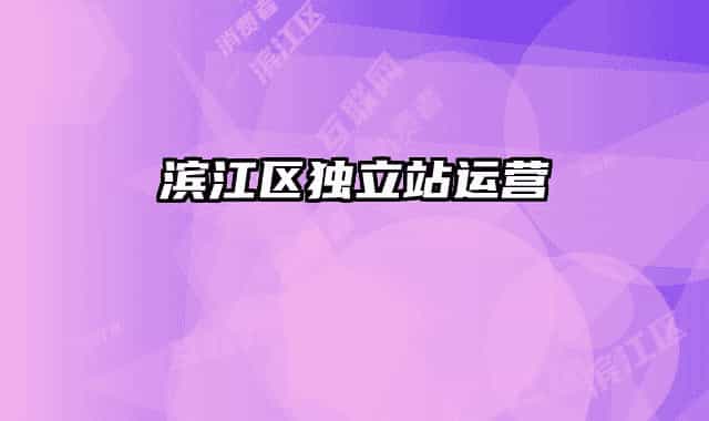 滨江区独立站运营