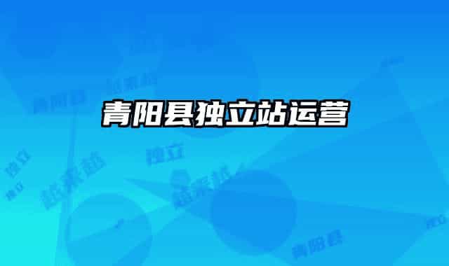 青阳县独立站运营