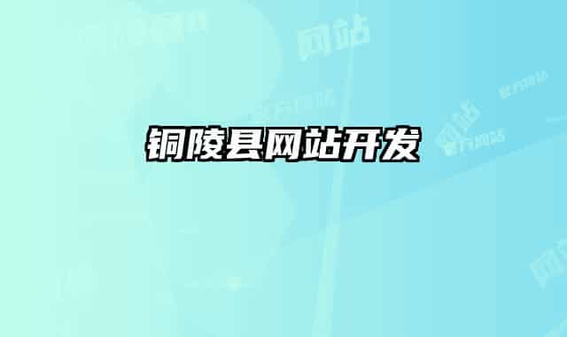 铜陵县网站开发