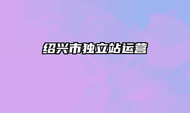 绍兴市独立站运营