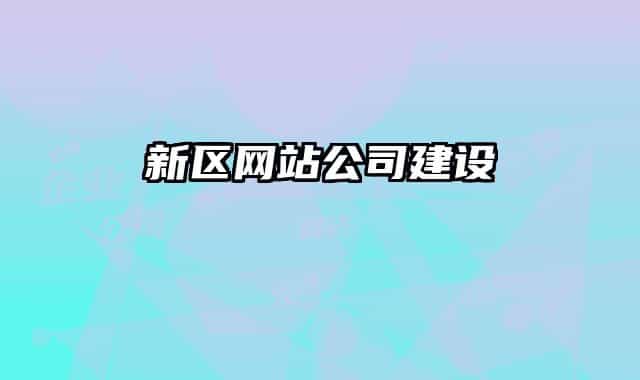 新区网站公司建设