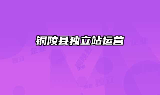 铜陵县独立站运营