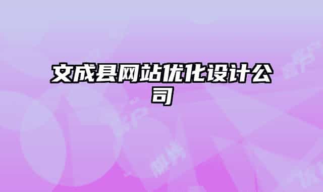 文成县网站优化设计公司