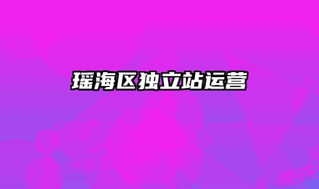 瑶海区独立站运营