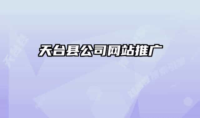 天台县公司网站推广