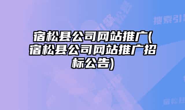 宿松县公司网站推广(宿松县公司网站推广招标公告)
