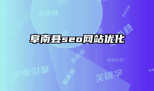 阜南县seo网站优化