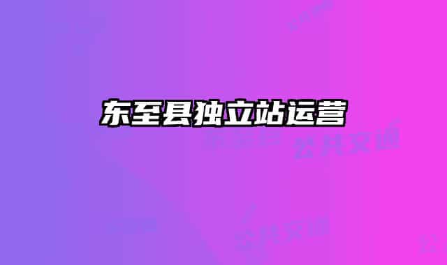 东至县独立站运营