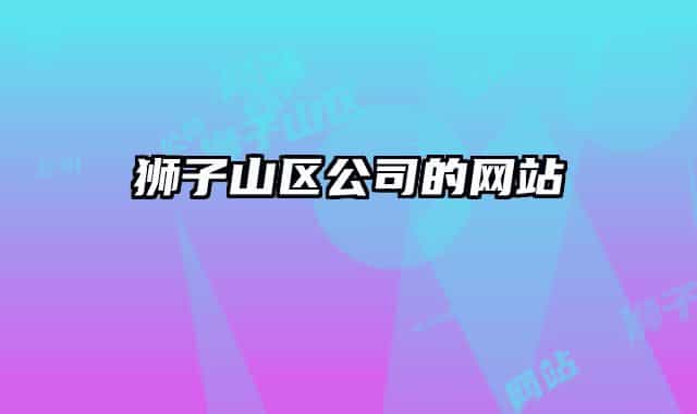狮子山区公司的网站