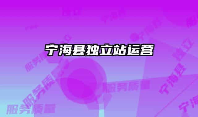 宁海县独立站运营