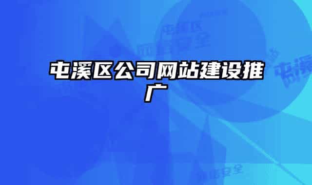 屯溪区公司网站建设推广