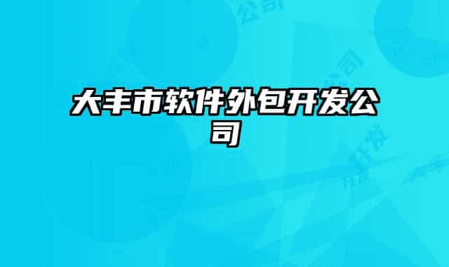 大丰市软件外包开发公司