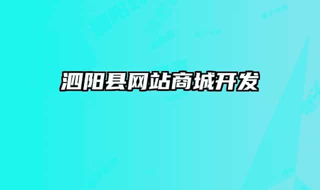 泗阳县网站商城开发