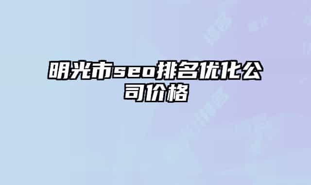 明光市seo排名优化公司价格