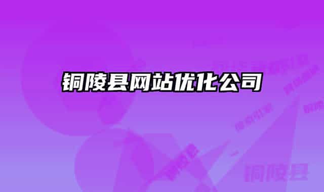 铜陵县网站优化公司