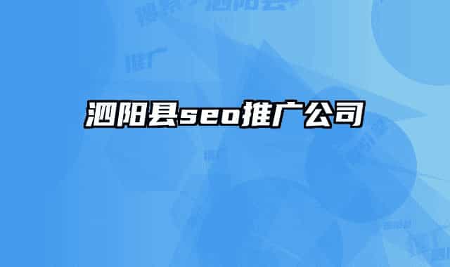 泗阳县seo推广公司