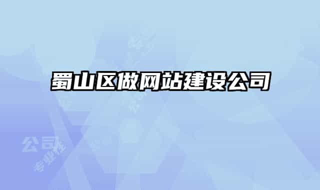 蜀山区做网站建设公司