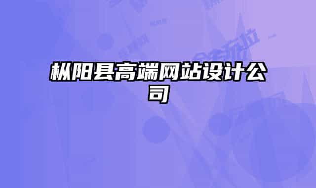 枞阳县高端网站设计公司