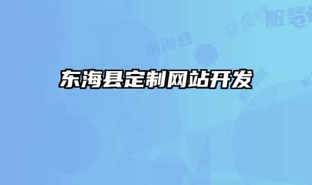 东海县定制网站开发