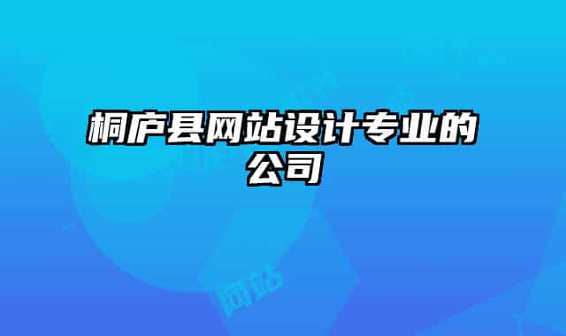 桐庐县网站设计专业的公司