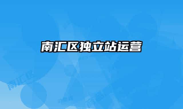 南汇区独立站运营