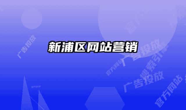 新浦区网站营销