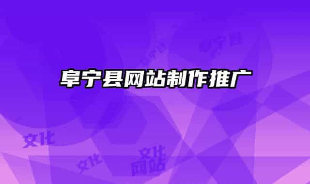 阜宁县网站制作推广