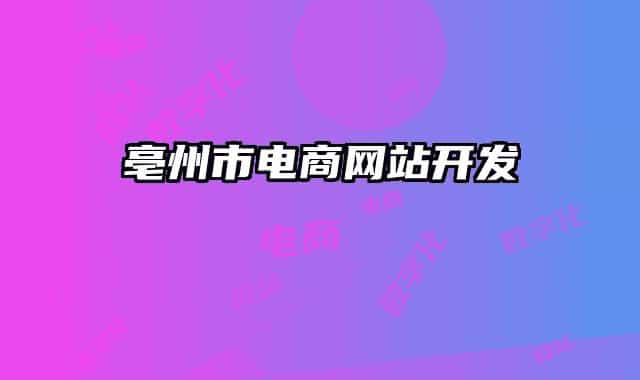 亳州市电商网站开发