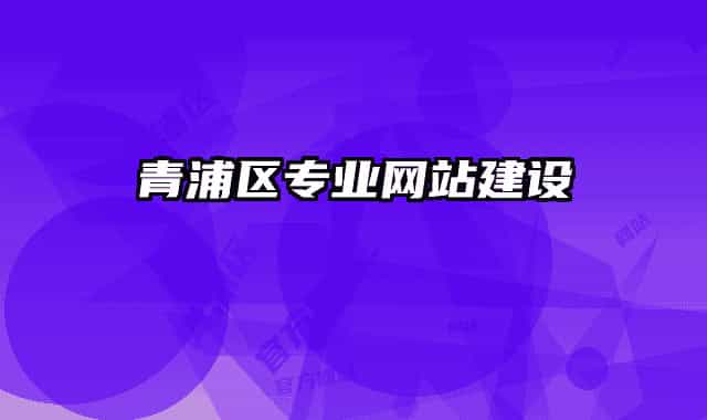 青浦区专业网站建设