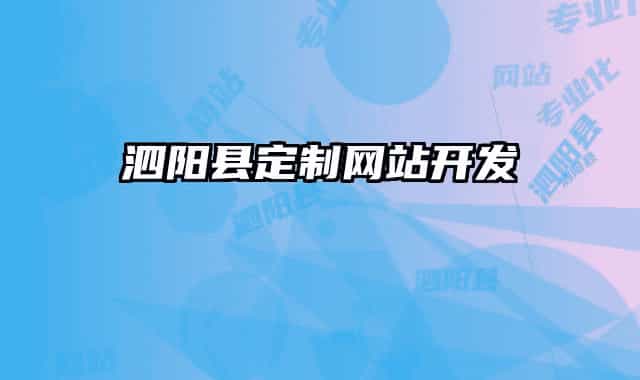 泗阳县定制网站开发