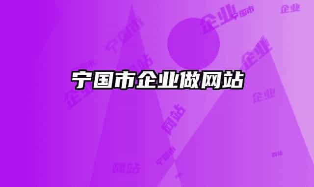 宁国市企业做网站