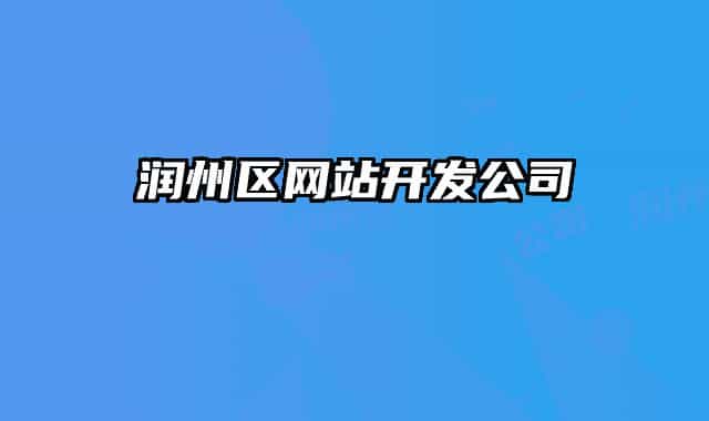 润州区网站开发公司