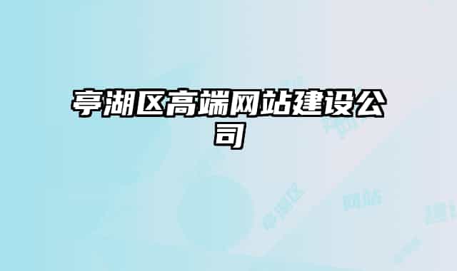亭湖区高端网站建设公司