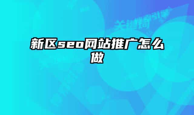新区seo网站推广怎么做