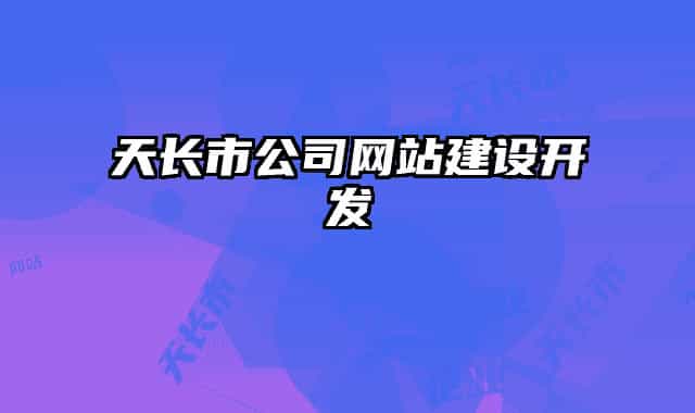 天长市公司网站建设开发