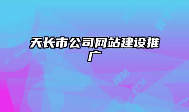 天长市公司网站建设推广