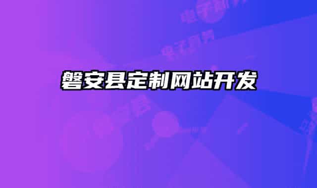 磐安县定制网站开发