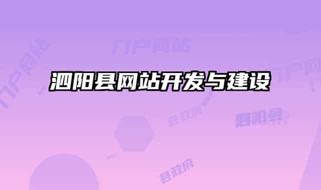 泗阳县网站开发与建设