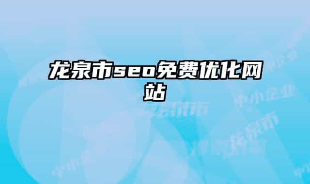 龙泉市seo免费优化网站