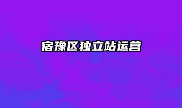 宿豫区独立站运营