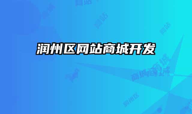 润州区网站商城开发